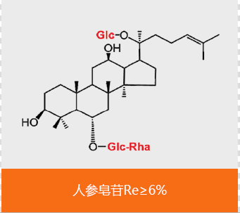 尊龙凯时·人生就是博(中国区)官方网站